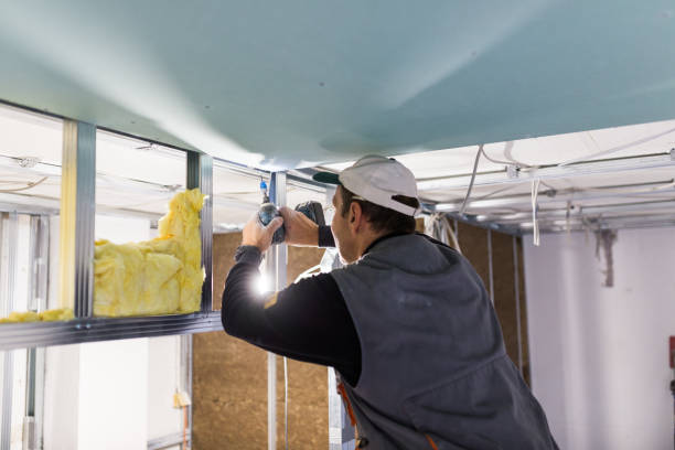 Best Commercial Insulation Services  in Las Lomas, CA